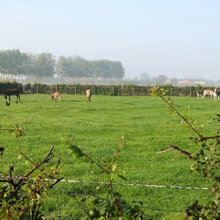 De Molenkreek *
