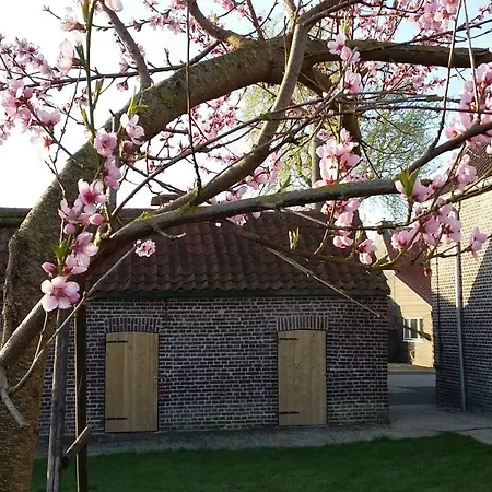 De Molenkreek * Sint-Margriete